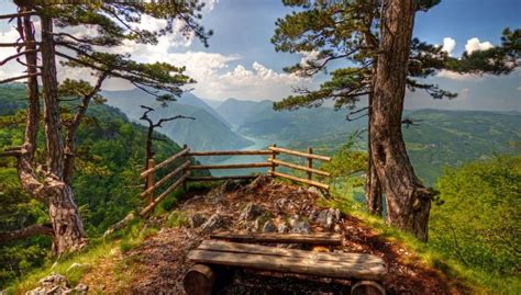 Planina tara se nalazi u zapadnom delu srbije. Nacionalni park Tara - Palisad