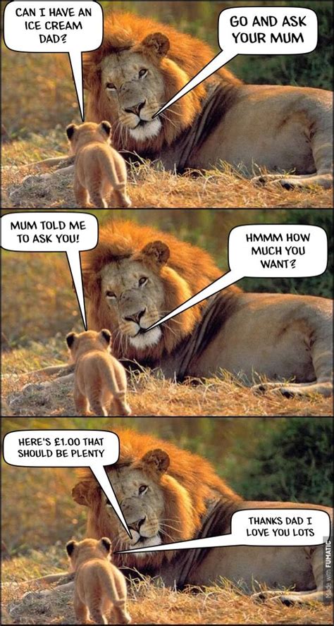 544 likes · 1 talking about this. Pin by Melanie Hazeltine on Lions | Animal jokes, Funny ...