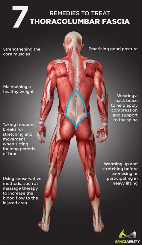 Your lower back (lumbar spine) is the anatomic region between your lowest rib and the upper part of the buttock. Pin on Lower Back Pain Solutions