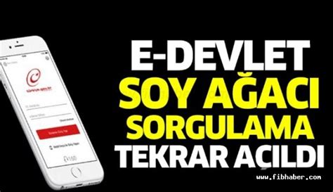 Adım adım soy ağacı nasıl bulunur? E-Devlet soy ağacı sorgulama için - Tıkla Öğren