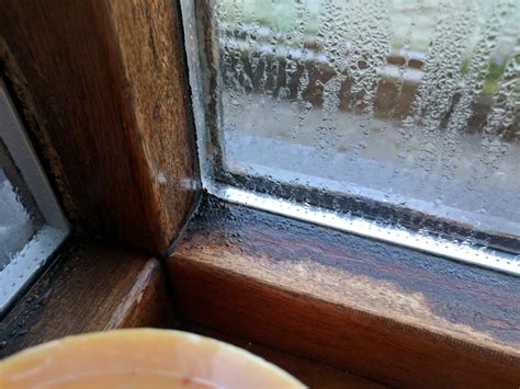 This video will give you a simple overview on how to operate the trickle vents on our pvcu sliding sash windows. Wood windows, 50's House, Condensation, should I put in ...