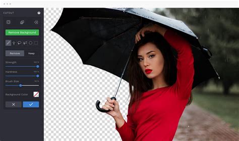 Online Background Remover | Remove Background from Image