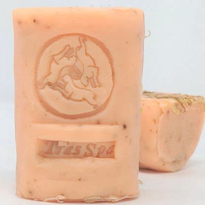 .soap made with organic oils and plant butters, pure essential oils, organic herbs, and spices. Awaken Organic Vegan Soap | Tres Spa Store