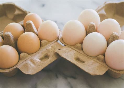 Protein terutama penting bagi anak yang sedang dalam masa pertumbuhan. Telur Ayam vs Telur Bebek: Apa Bedanya Telur Ayam dan ...