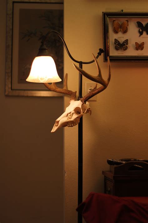 Skull lamp (all 11 results). Hello This is a deer skull lamp i made. I do custom orders ...