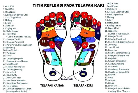 Titik refleksi pada kaki dalam dunia kesehatan, pijat merupakan upaya untuk mencegah dan mengobati berbagai penyakit. Teori & Pengertian Pijat Refleksi Kaki - Heqris Workspace