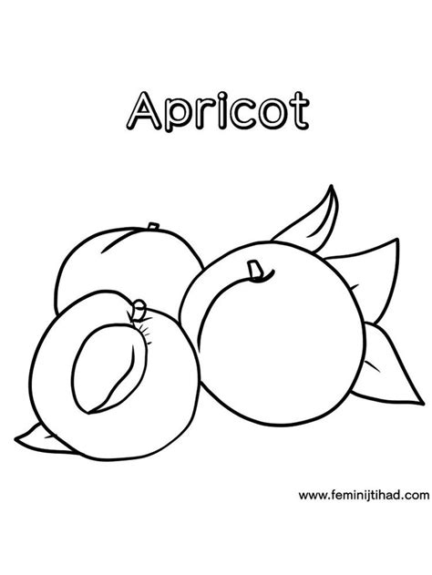 Select from 35970 printable coloring pages of cartoons, animals, nature, bible and many more. apricot coloring page printable. Apricots are fruits with ...