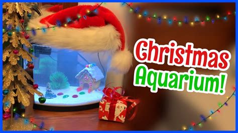 Subscribe to all the fun. Christmas-Themed AQUARIUM Setup! - YouTube