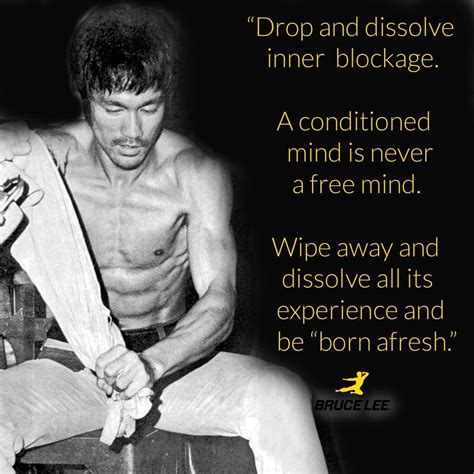 Pin by Michael on INSPIRING THOUGHTS | Bruce lee quotes, Bruce lee ...