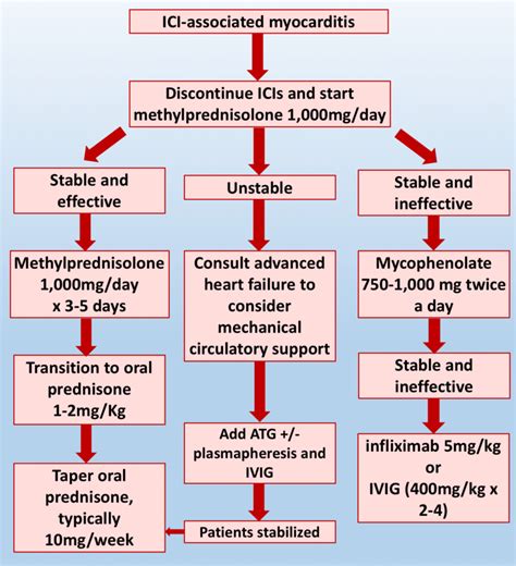 Treatment mainly involves preventing heart failure with medication and diet. Treatment algorithm for ICI-associated myocarditis. ATG, antithymocyte... | Download Scientific ...