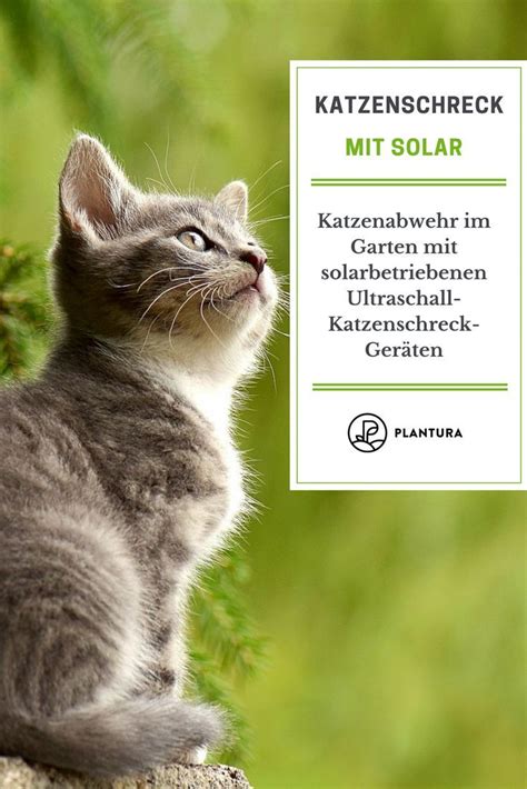 Ein eindeutiges anzeichen für tierischen besuch im garten ist kot. Pin auf Garten Ideen - Allgemein