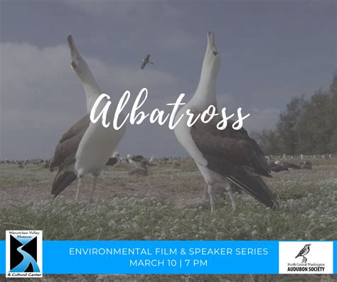 104,872 likes · 13 talking about this. Environmental Film & Speaker Series: Albatross | Wenatchee ...