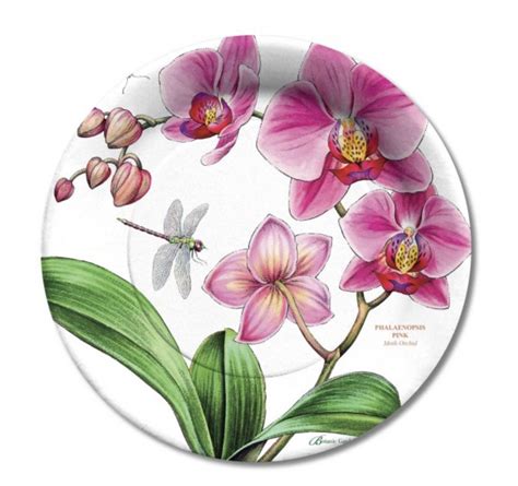 You can start seeds in almost any type about a week before you plan to set the seedlings into the garden, place them in a protected spot darren ens/ mixed flower pack. Orchid Dinner Plate | Plate flowers garden, Flower plates ...