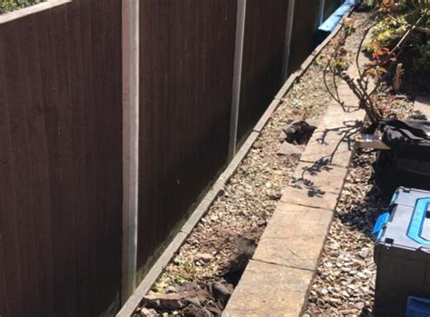 We are currently open on. West Midlands Fencing Contractors | Garden Fencing Solutions