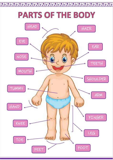 Parts of body in tamil. Pin on body