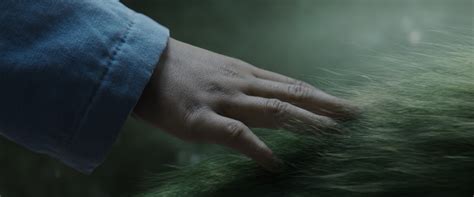 More than 123 petes dragon 2016 pete at pleasant prices up to 12 usd fast and free worldwide shipping! Pete's Dragon Teaser Trailer Now Available - Merlot Mommy