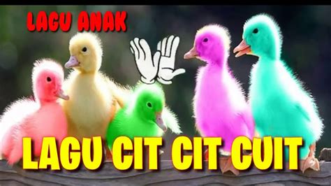 Tersedia piyama dengan harga murah dan berkualitas, jaminan uang kembali 100% di bukalapak. Lagu anak #bebek cicit cuit - YouTube