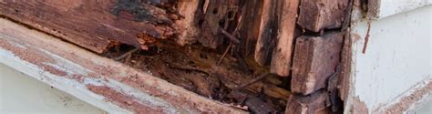 Houston pest control prices range from less than $100 to locally owned pest control company that specializes in ant, termite, rodent, roach, spider, mosquito and flea. Termite Treatment Cost | Houston TX | Katy TX - Church ...