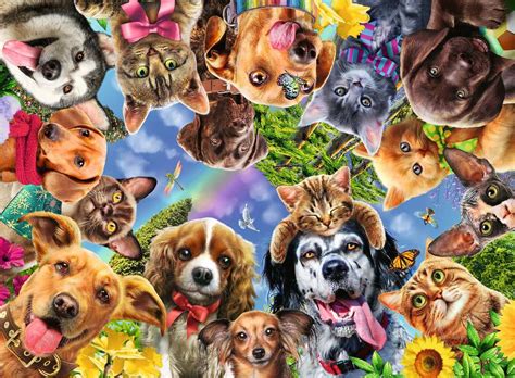 Made in the uk and europe, we work with artists to create puzzle images that make you smile. Animal Selfie 500 Piece Jigsaw Puzzle - Ravensburger