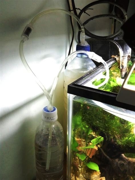 Kali ini kembali lagi saya ulas mengenai cara membuat aquascape simple tanpa co2 & chiller. Cara Membuat CO2 (DIY) untuk Aquascape