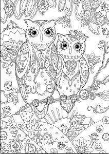 Search through 623,989 free printable colorings at getcolorings. Owls - Coloring Pages for Adults