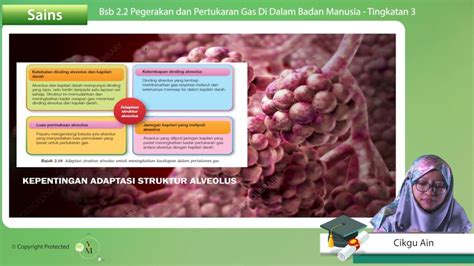 Penjelasan mekanisme pertukaran gas selama pernapasan. F3_SAINS_02-02 Pegerakan dan Pertukaran Gas Di Dalam Badan ...