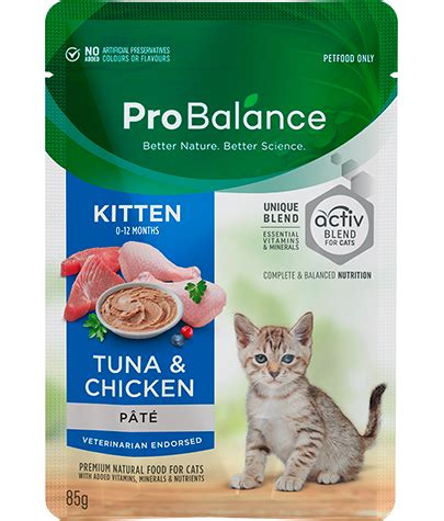 Should you feed a dry or wet kitten food. Premium Wet Cat Food Kitten Tuna & Chicken Pate ...