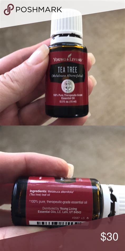 59 results for tea tree oil young living. New Young Living Tea Tree essential oil | Tea tree ...