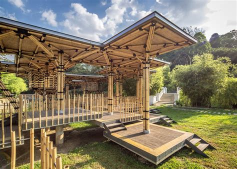 This bamboo species grows well in pots both indoors and outdoors. Bamboo playhouse occupies a lake island in Kuala Lumpur ...