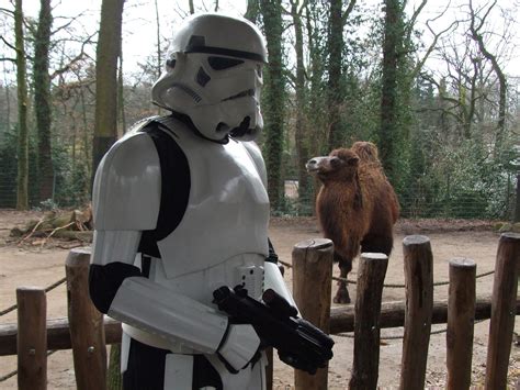 Dem faultier ist das wetter egal. Tiere im Star-Wars-Universum: Fantreff im Dortmunder Zoo ...