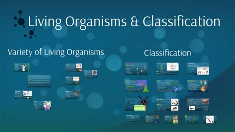 A document that indicates who is allowed to visit a patient in a hospital or medical facility. All living organisms have the following characteristics in ...