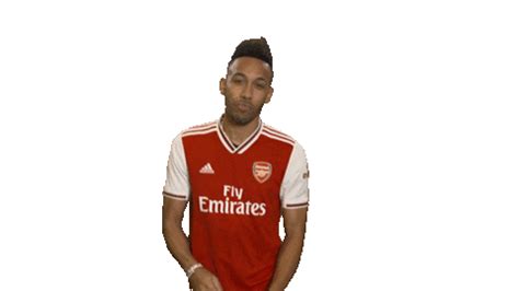 Watch the full video | create gif from this video. Premier League Football Sticker by Arsenal for iOS ...