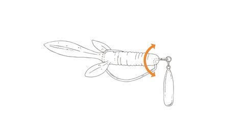 To sú prednosti série riga, ktorej doménou sú cenovo dostupné vane zo smaltovanej ocele. Barsch-Special, Teil 3: Finesse und Ultralight - RUTE&ROLLE