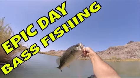 All about fishing for spotted, smallmouth and largemouth bass. Lower Colorado River Bass Fishing Epic Day - YouTube