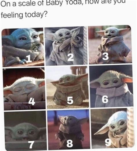 Brand new baby yoda memes best memes compilations! 15+ Funny Stuff Humor Laughing in 2020 | Star wars memes ...