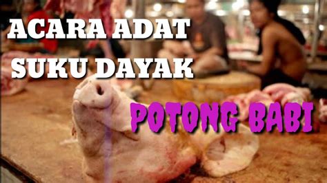 potong babi togel