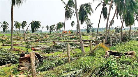 ( cyclocane is a cyclone and hurricane tracker by hayley ). Cyclone Gaja set us back by 25 years, say Tamil Nadu's ...