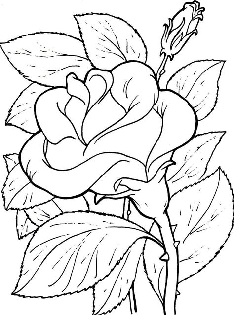 ¿qué es una colección de flores fácil de dibujar? Imagenes de flores para colorear y dibujar