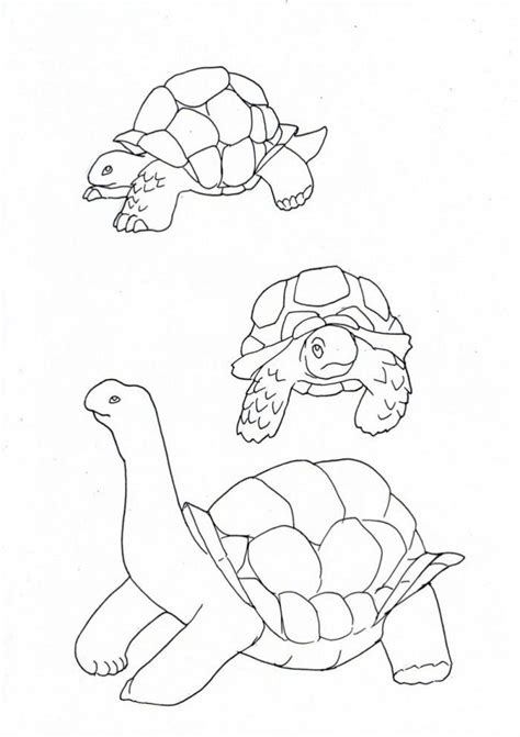 Coloring pages are fun for children of all ages and are a great educational tool that helps children develop fine motor skills, creativity and color recognition! Yertle The Turtle Coloring Pages - Coloring Home