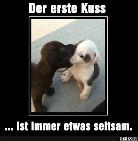 Besten bilder, videos und sprüche und es kommen täglich neue lustige facebook bilder auf debeste.de. Der erste Kuss.. | Lustige Bilder, Sprüche, Witze, echt lustig