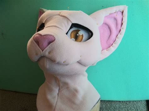 By the time blotch was five she realized that she was genderfluid and came out to her friends, but they. Hairless Cat Fursuit - Best Cat Wallpaper