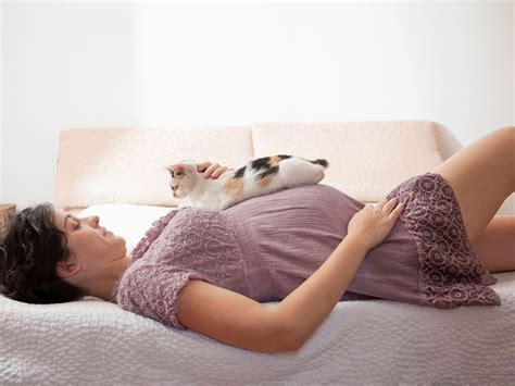 The hormonal changes preparing a cat for motherhood can affect her behavior, too. Can Cats Tell If A Woman Is Pregnant - CatWalls