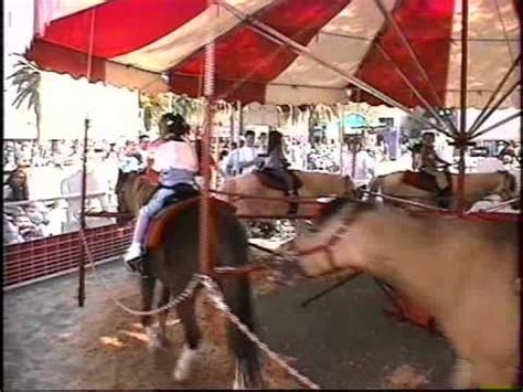 Animals in such zoos are typically gentle, domesticated baby animals like lambs, piglets, chicks, puppies, kittens, ducklings, and bunnies. Great American Petting Zoo - GAAEC - YouTube