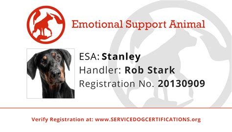 If you see a site promoting a service cat registry or however, as mentioned above, cats can certainly qualify as an emotional support animal (with a letter prescribed from a licensed mental health. Emotional Support Animal ID | Service Dog Certifications