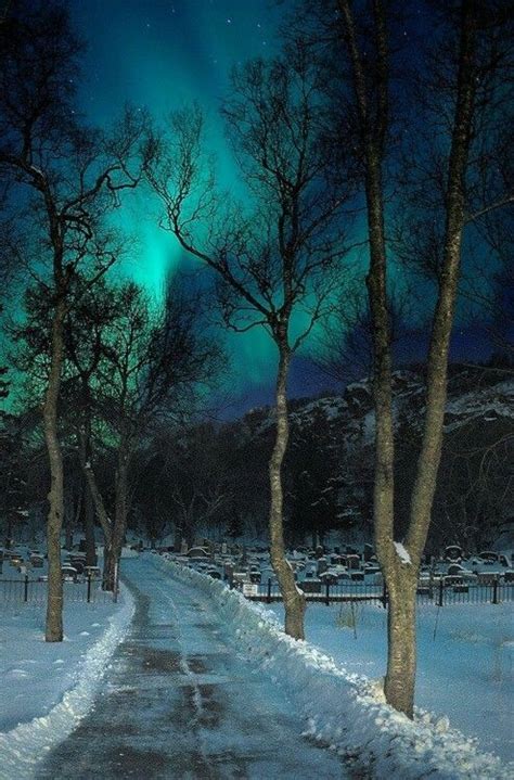 Homebellezasaurora snow loves to blow. Northern Lights, Norway Pictures, Photos, and Images for ...