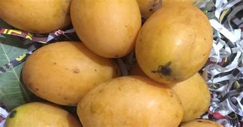 Menikah dgn janda zaman ini selalu kental dengan stigma jelek. Sedap Sangat ke Buah Kundang ? | Cerita Budak Sepet