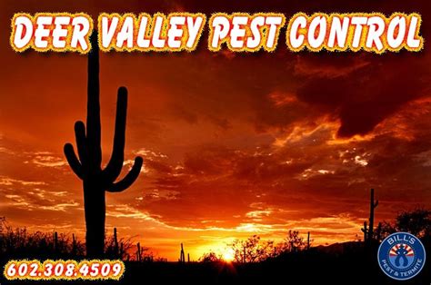 Ed is a great technician, extremely professional and knowledgeable, my whole experience with action termite & pest control was first class i will continue using them for all my pest control needs, i highly recommend them. #1 Deer Valley Pest Control Exterminator | Bills Pest ...