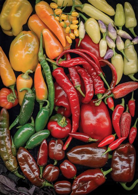 Check spelling or type a new query. Grow your own peppers! Find a selection of heirloom and ...
