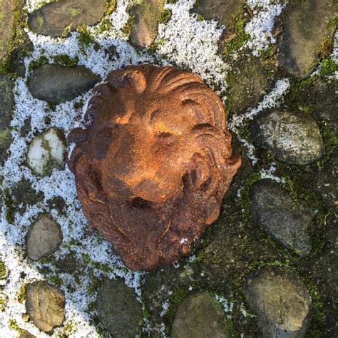 Entdecke jetzt innovative lösungen für perfekt bewässerte rasenflächen, hecken, beete und pflanzen! Mediterraner Wasserablauf f. Brunnen - Brunnenauslauf ...