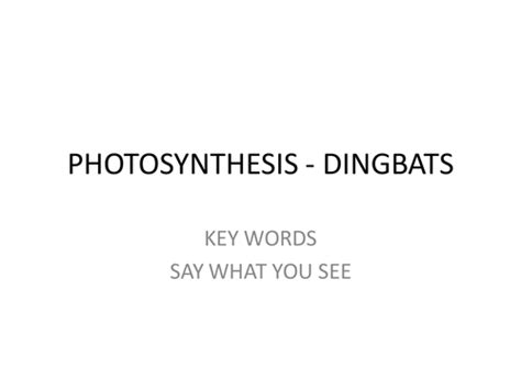 Maybe you would like to learn more about one of these? Dingbats Photosynthesis | Teaching Resources